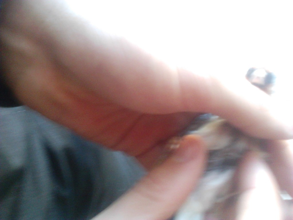 IMG_20120103_170131.jpg