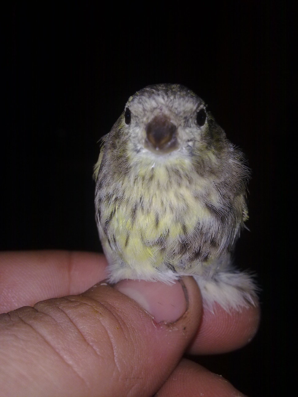 01122010076.jpg