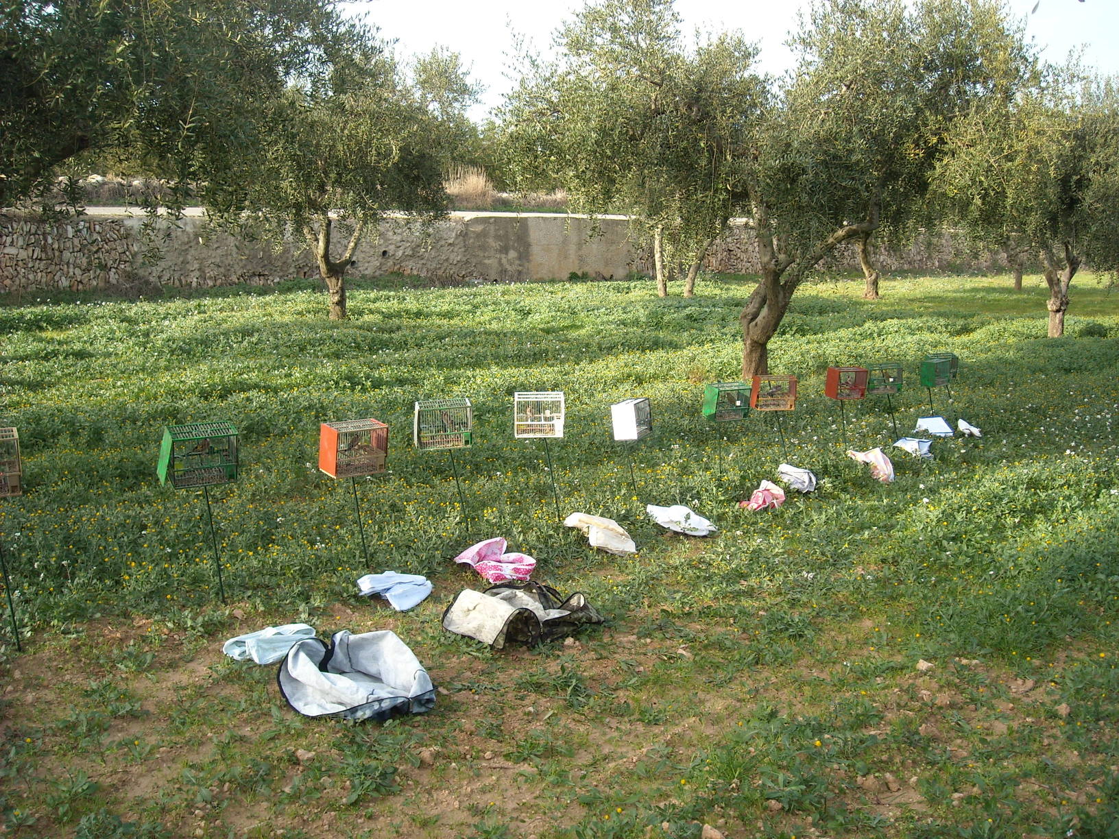 DSCN1102.JPG