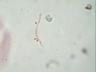 Imagen 053.jpg