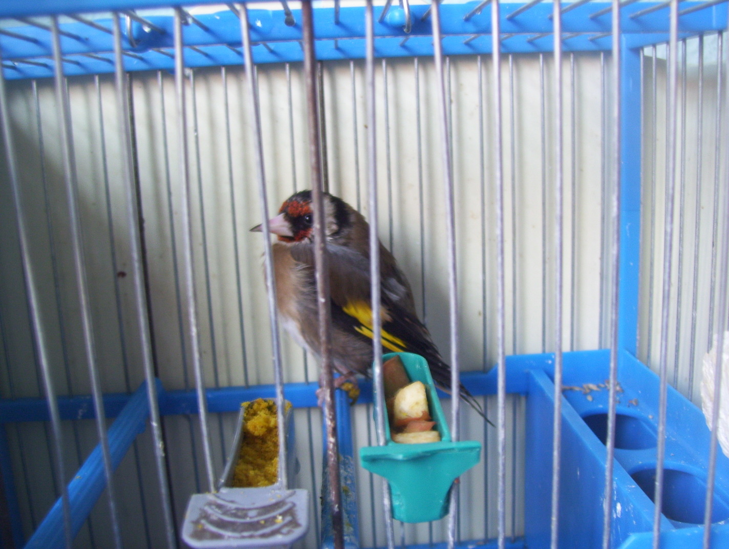 100_1586.JPG