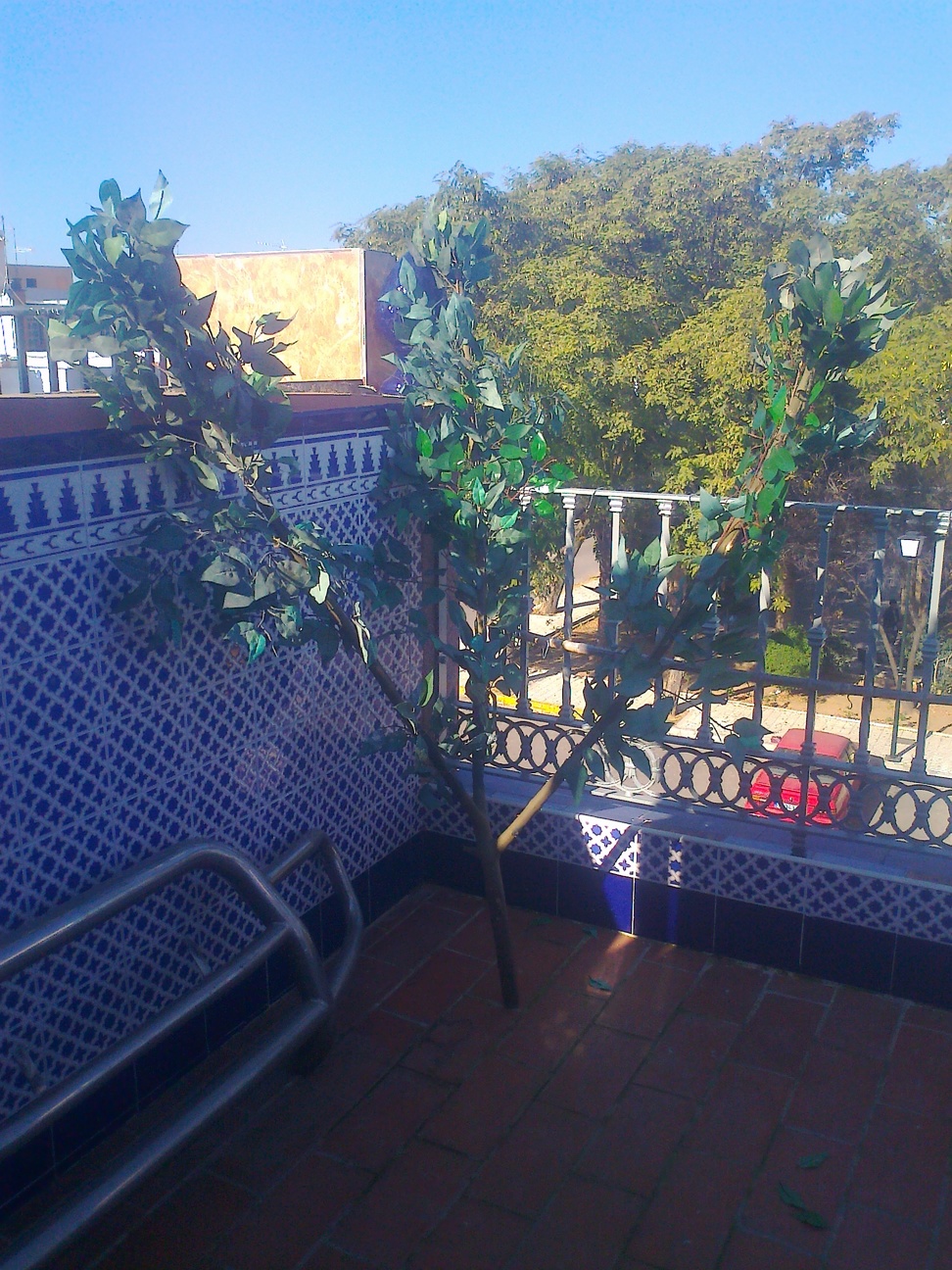 Foto0089.jpg