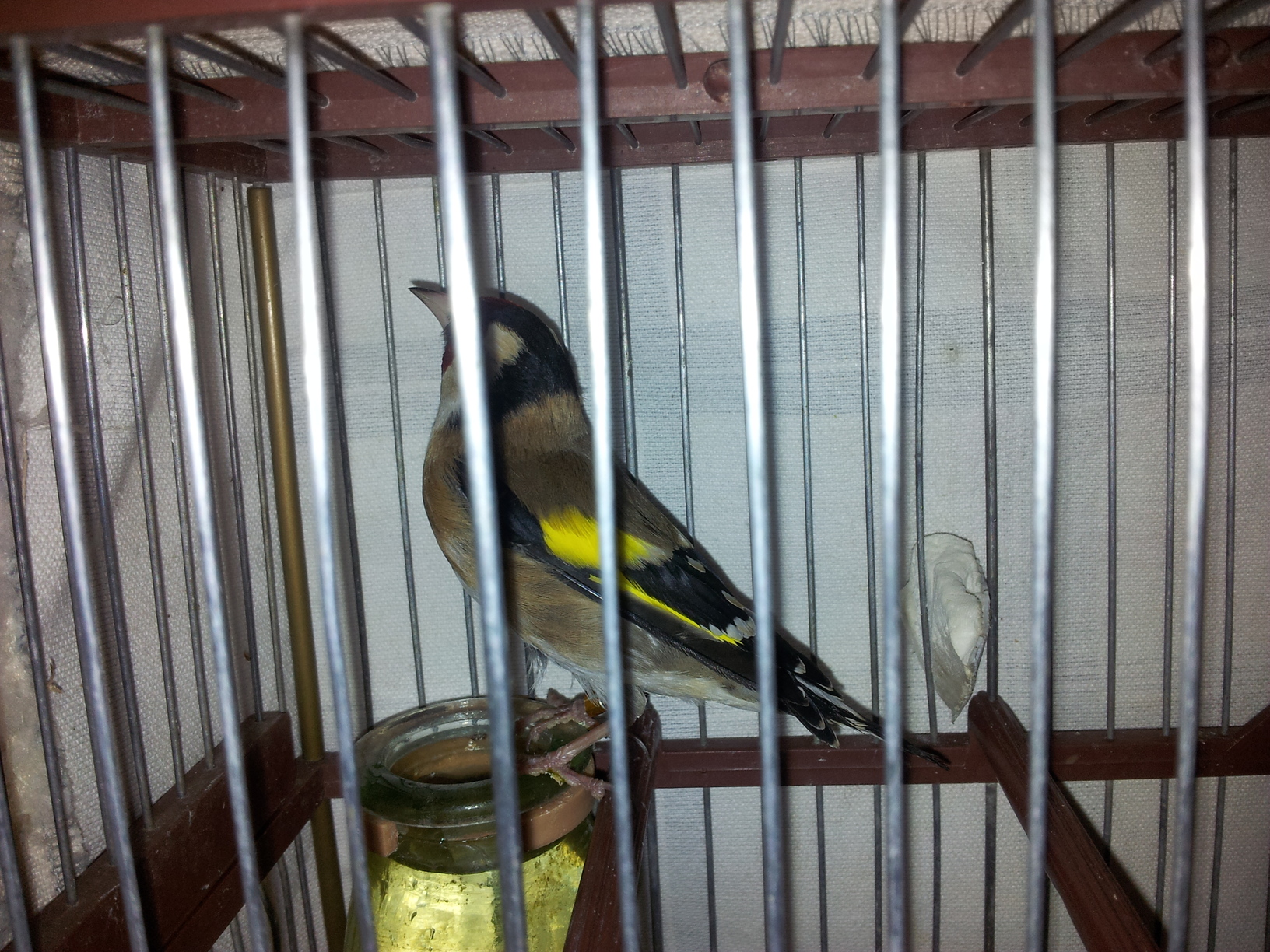 2012-01-16 11.28.35.jpg