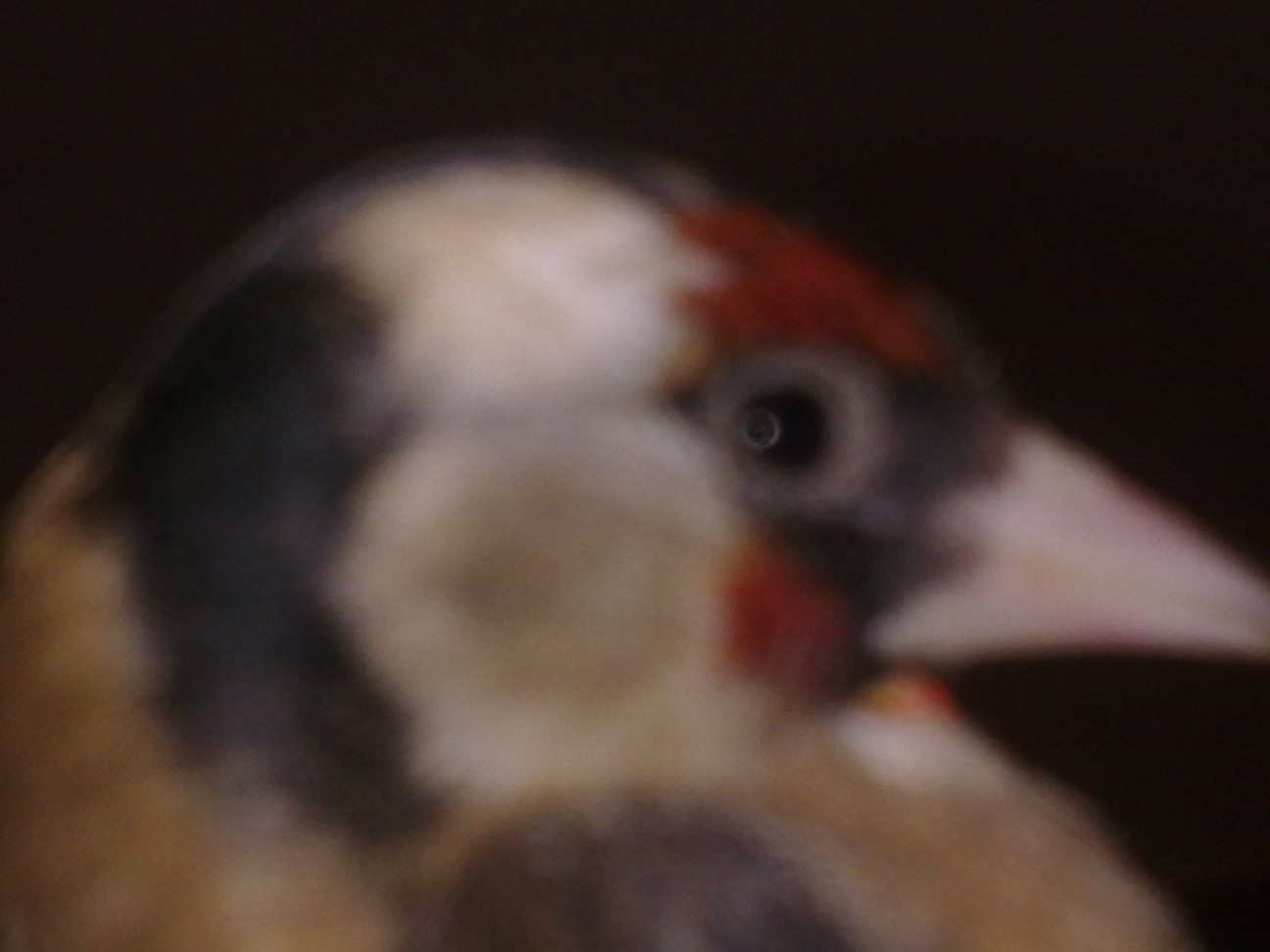 20120120158.jpg