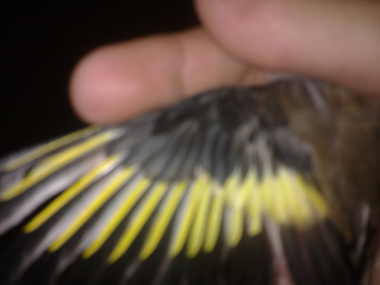 20120120160.jpg