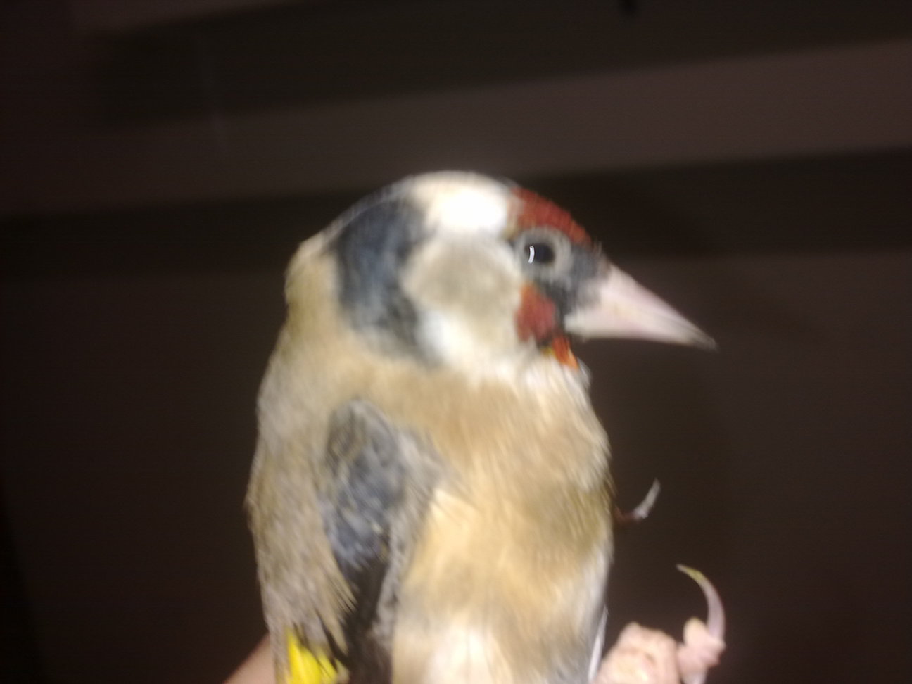 20120120161.jpg