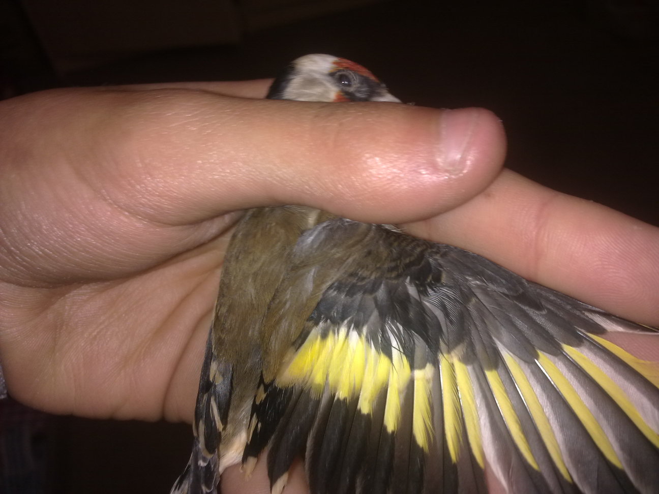20120120162.jpg