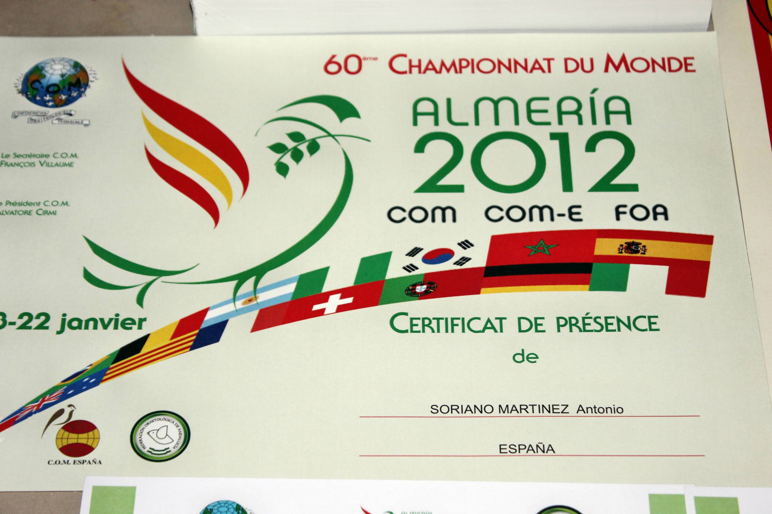 Mi diploma...mundial