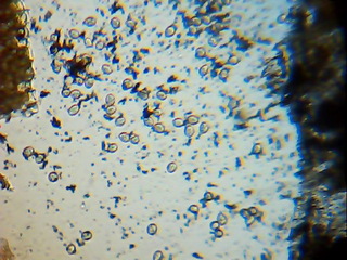 2012_01_22_22_44_47_655.jpg