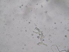 IMG_2292.JPG