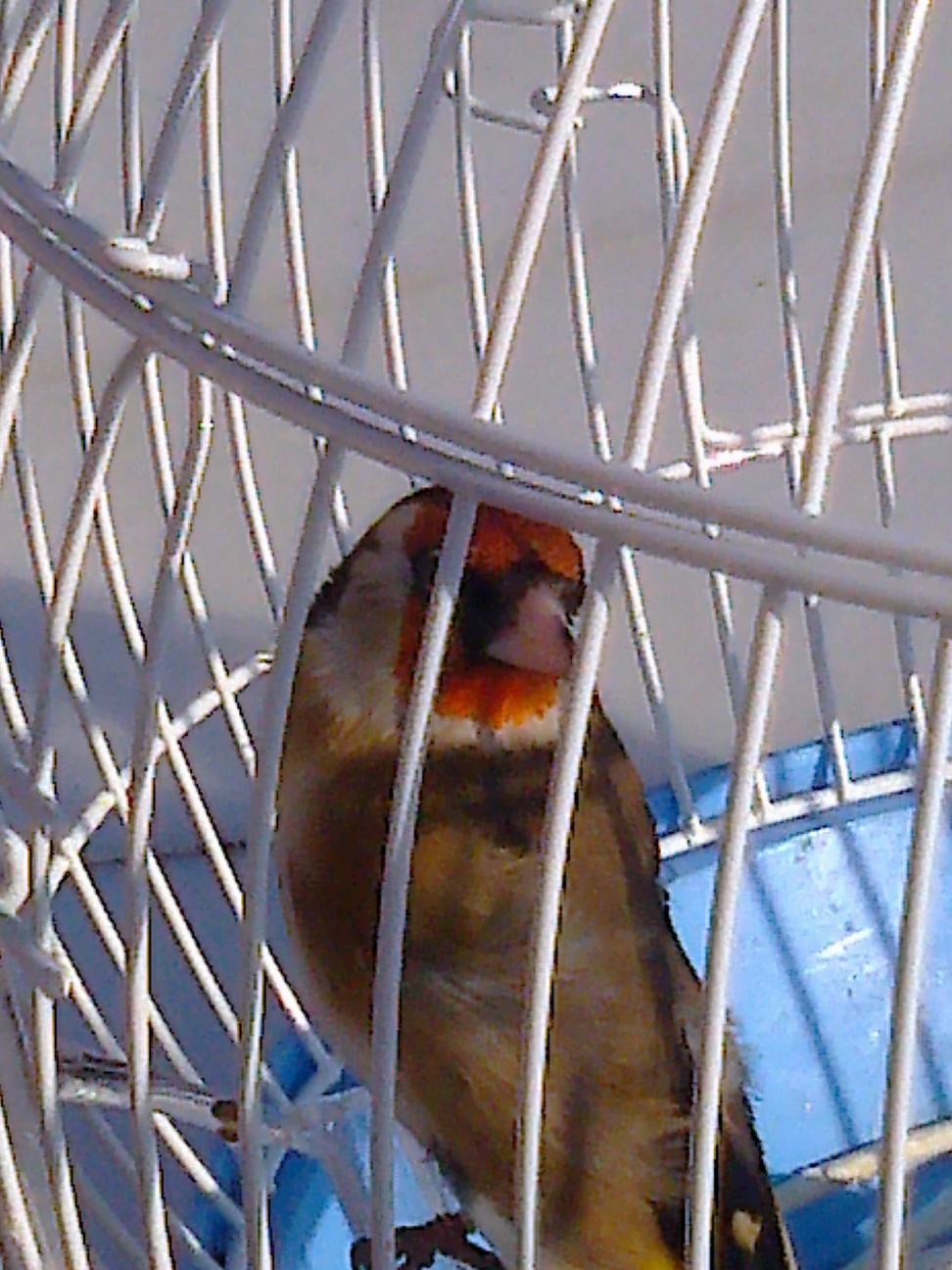 Foto0089.jpg