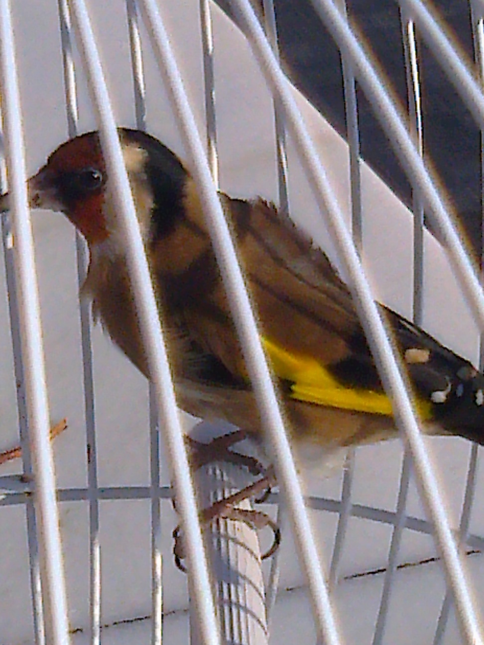 Foto0091.jpg