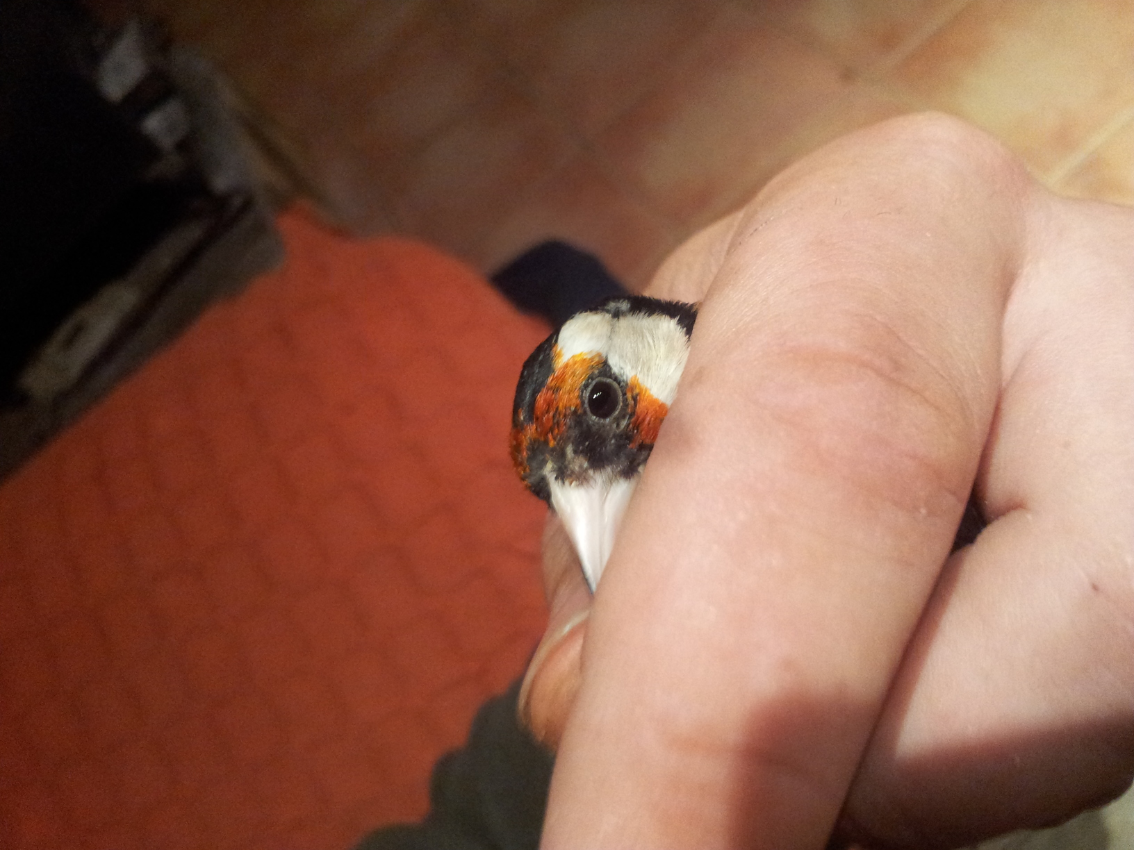 2012-01-27 07.53.43.jpg