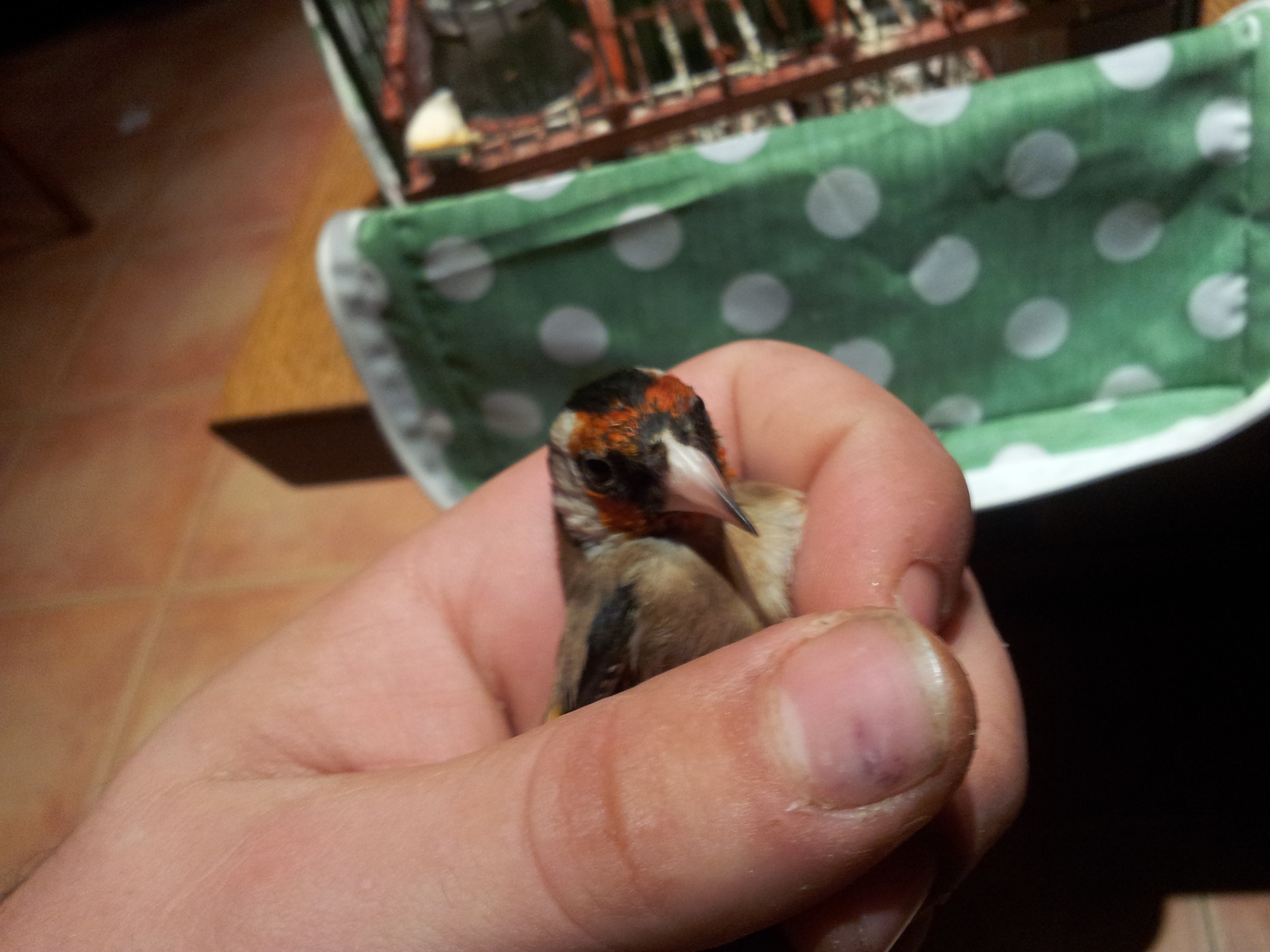 2012-01-27 07.53.19.jpg