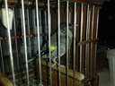 Foto4021.jpg