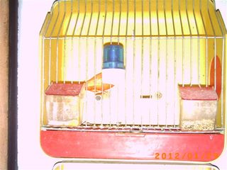 PICT0059.JPG
