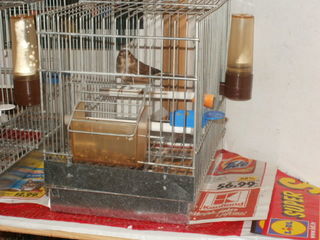 PC100047.JPG