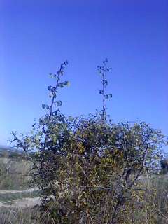 100920_164727.jpg