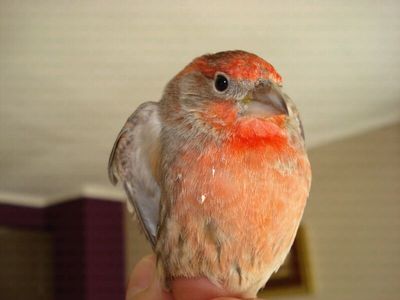 IMG-20120131-WA0000.jpg