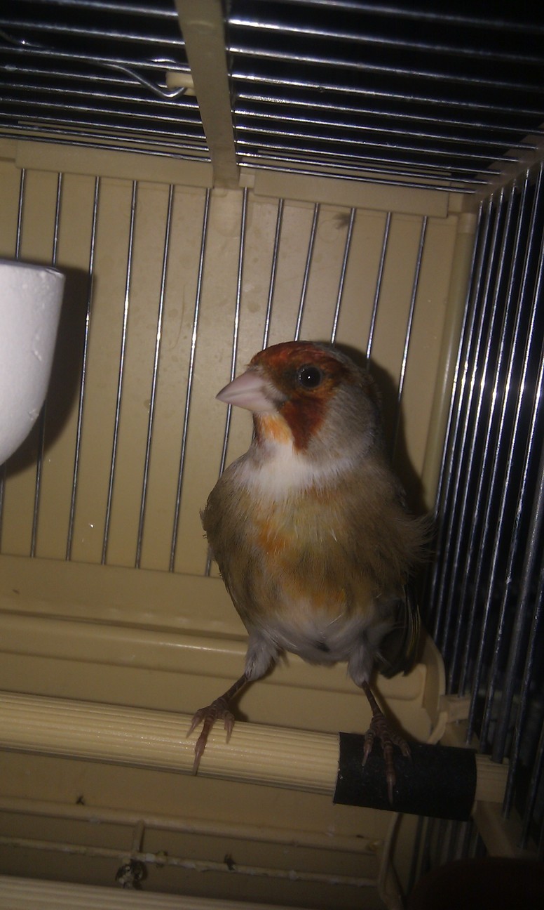 IMAG0329.jpg