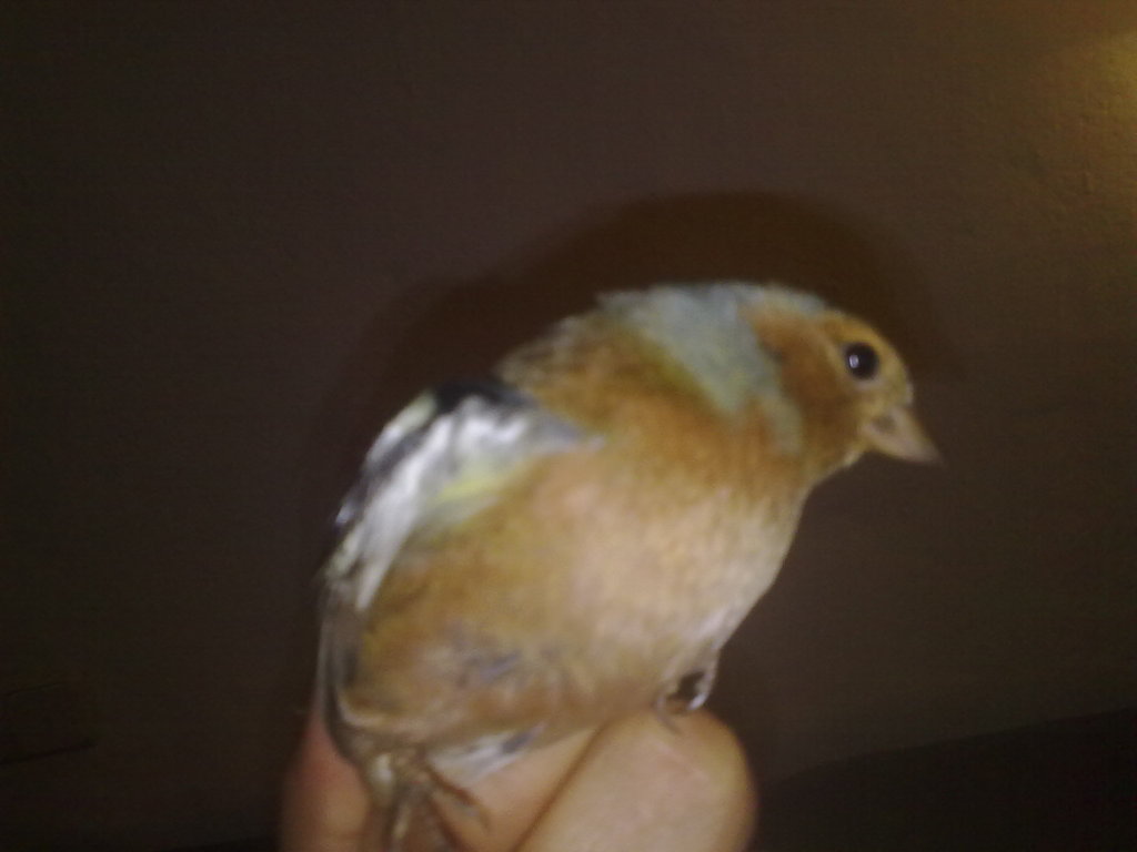 08022012205.jpg