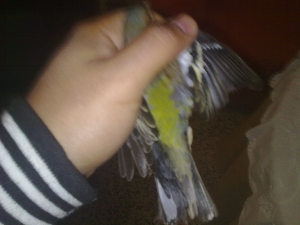 08022012207.jpg
