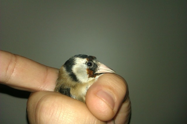 IMAG0139.jpg