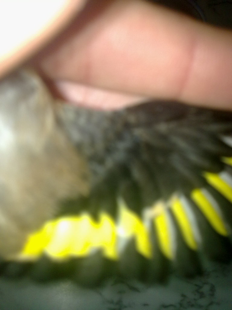 160220121039.jpg