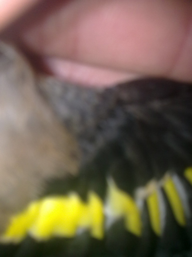 160220121038.jpg