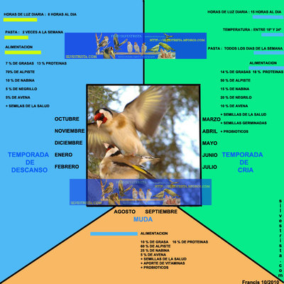 calendariojilgueroporte.jpg