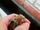 IMG0020A.jpg