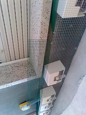 Balcon 3.jpg