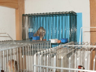 PC090030.JPG