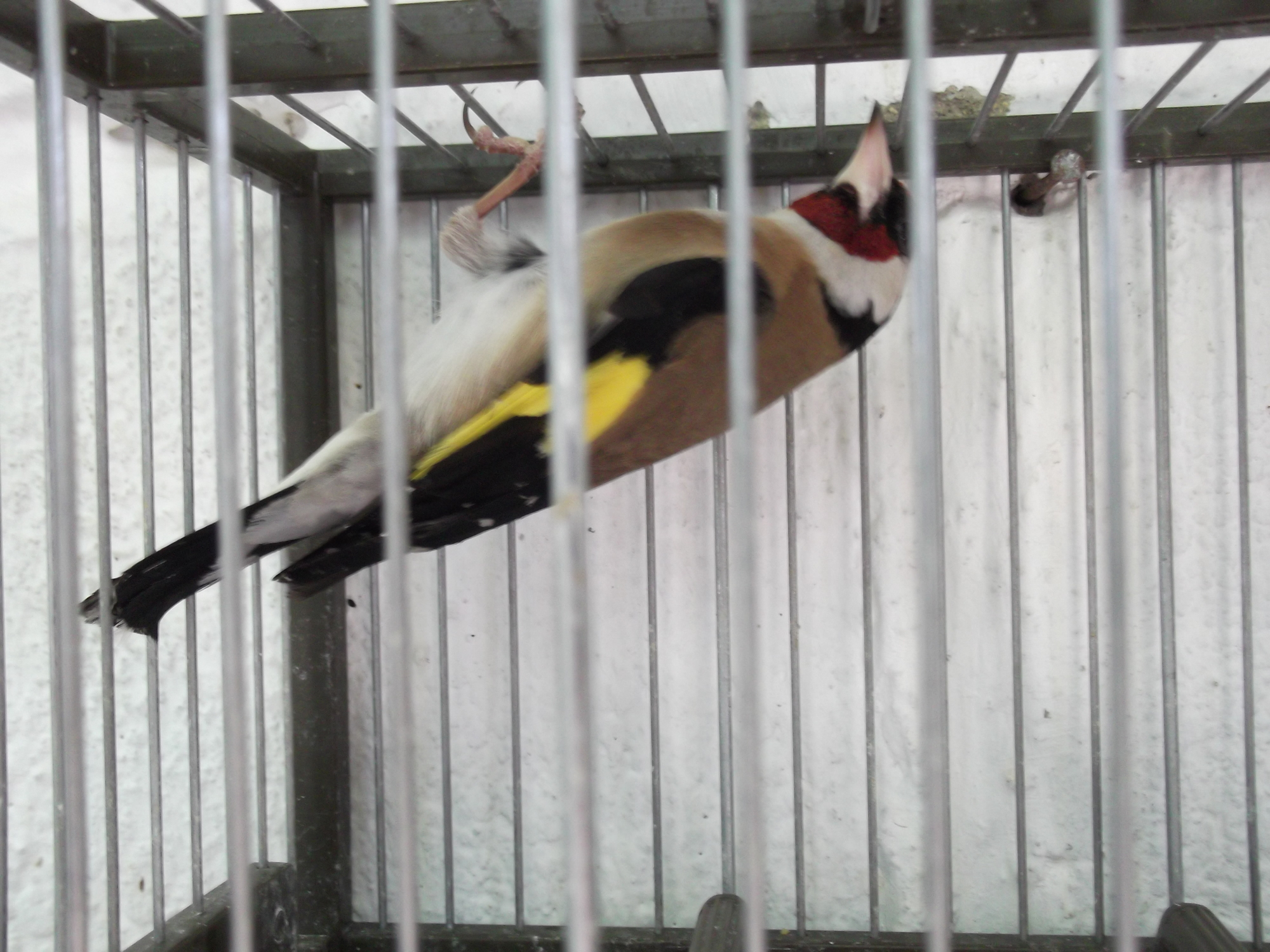 DSCF7794.JPG