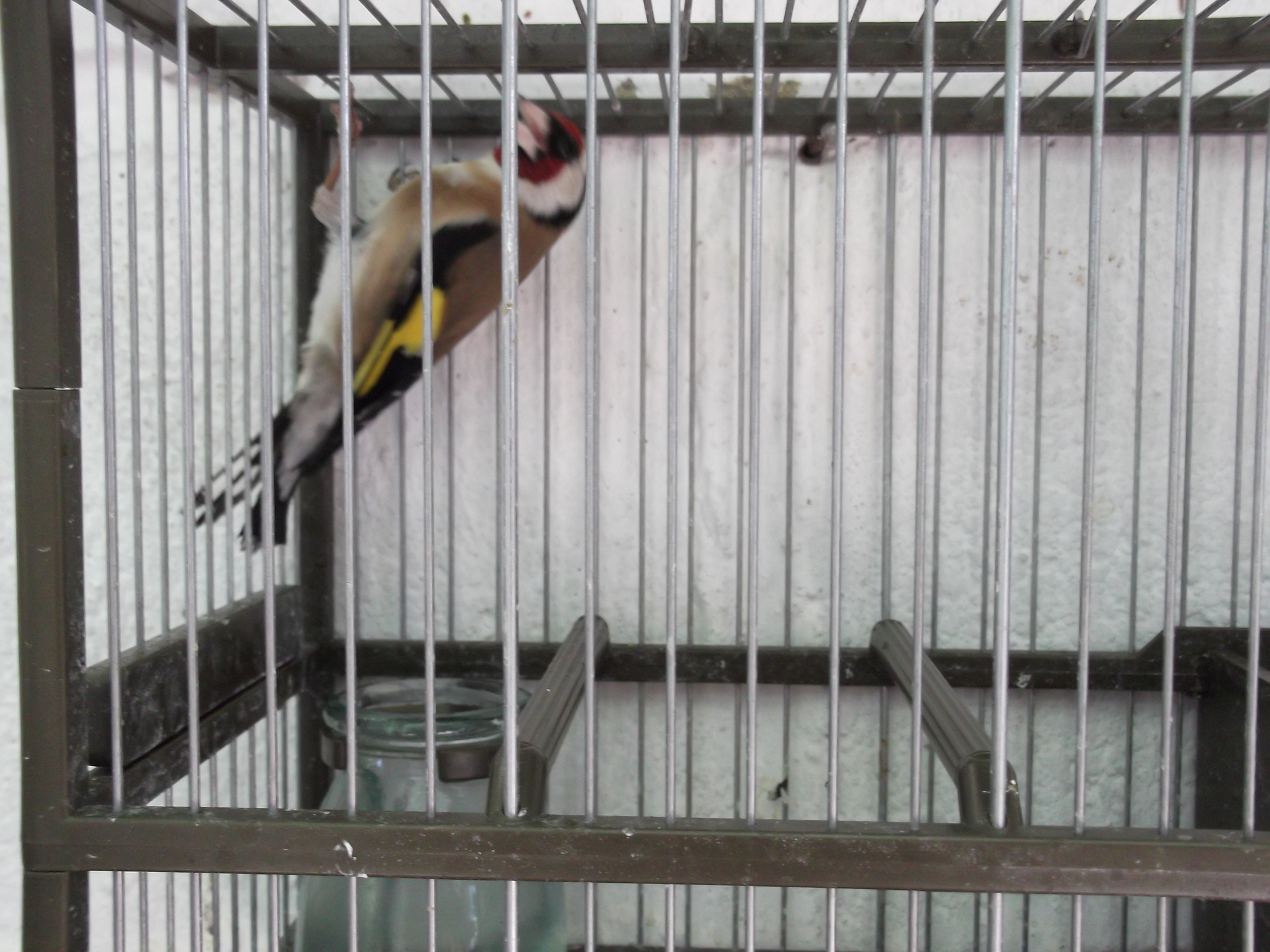 DSCF7796.JPG