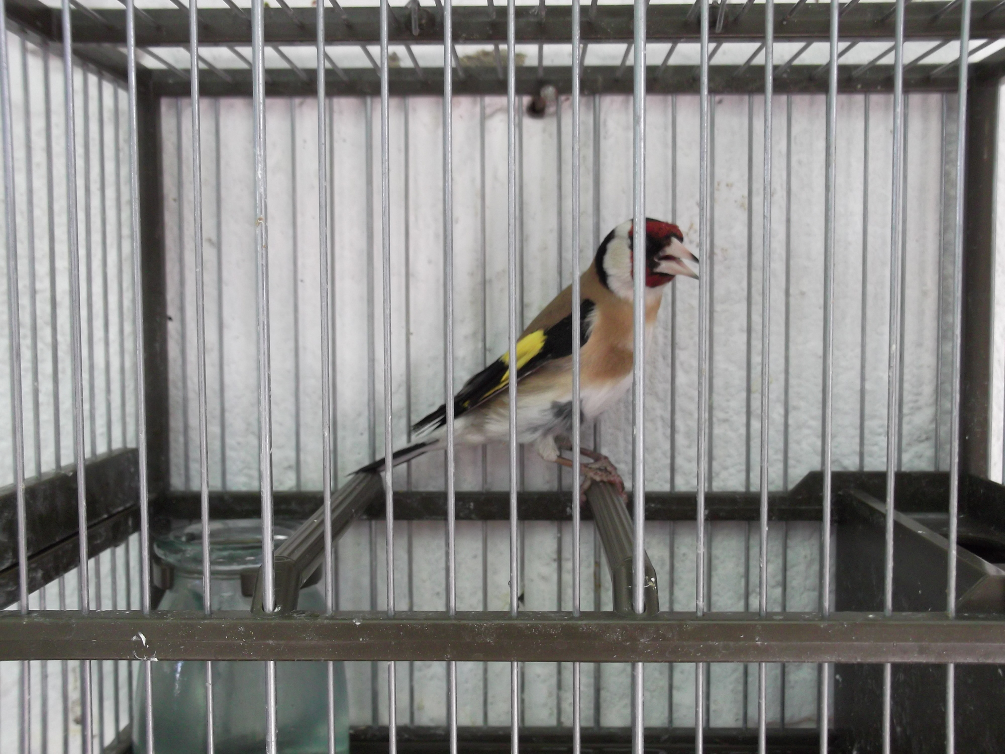 DSCF7798.JPG
