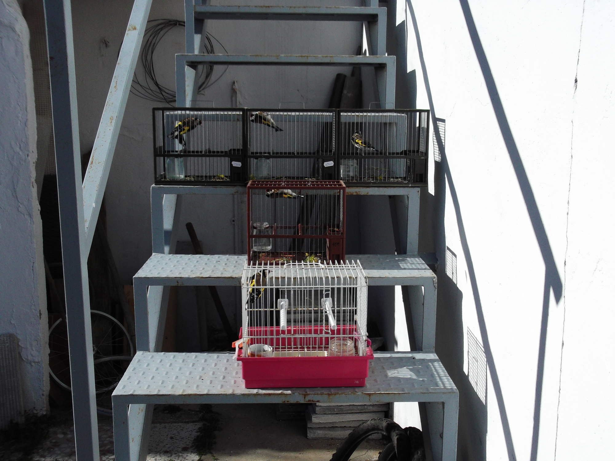 DSCF7739.JPG