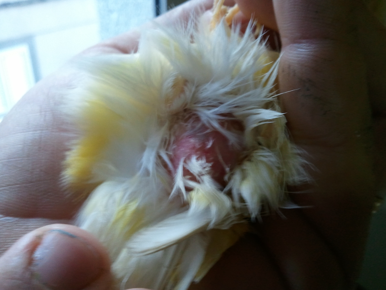 2012-02-25 17.20.48.jpg