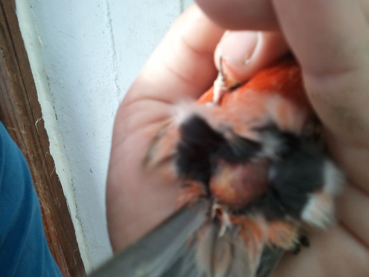 2012-02-25 17.26.13.jpg