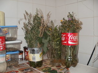 PC130062.JPG