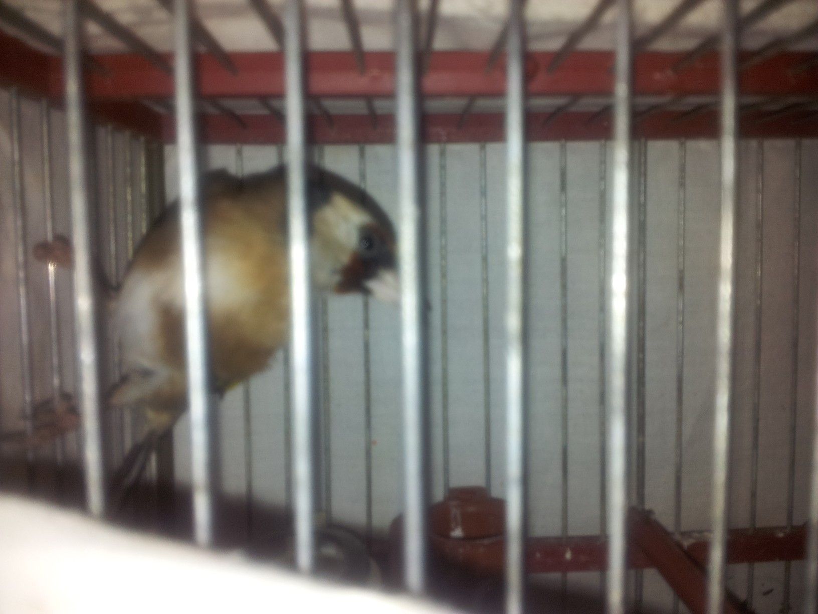 20120226_221649.jpg