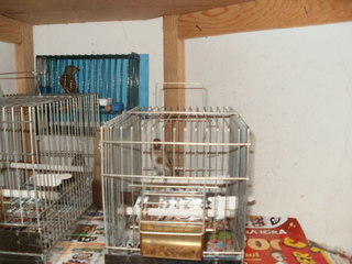 PC140066.JPG