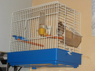 PC170073.JPG