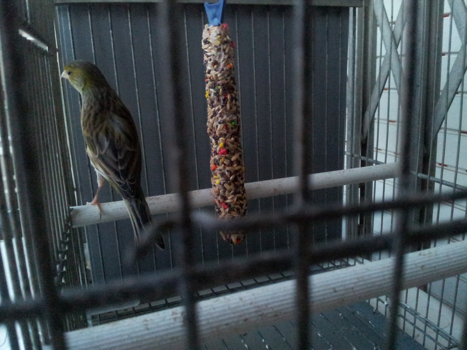 20120301_185024.jpg