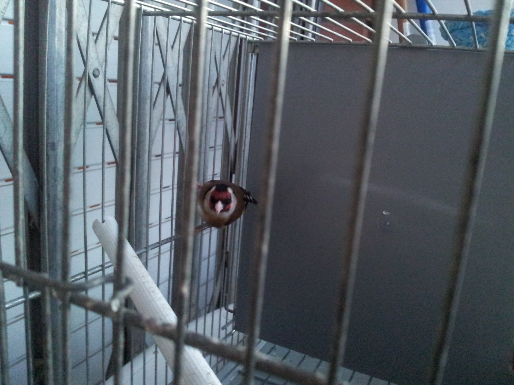 20120301_185047.jpg