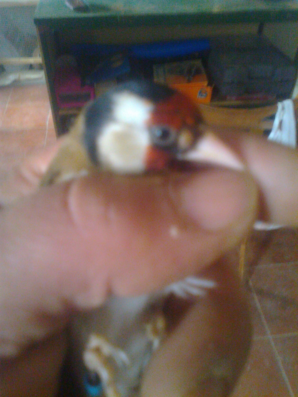 Foto0118.jpg