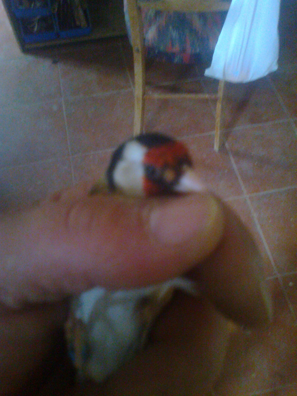 Foto0117.jpg