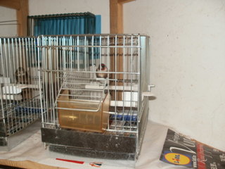 PC180095.JPG