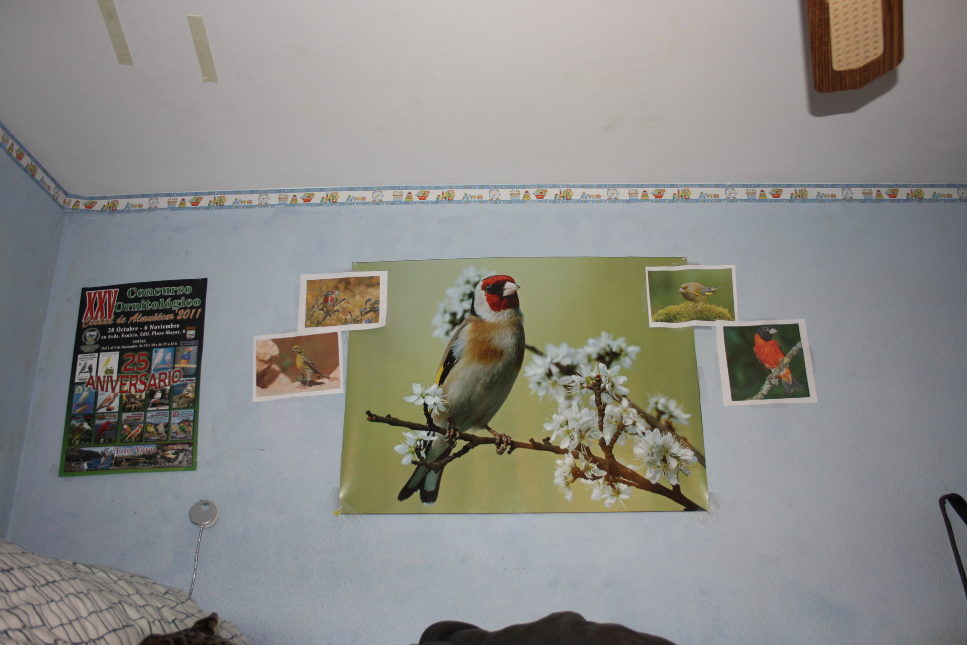 IMG_8558.JPG