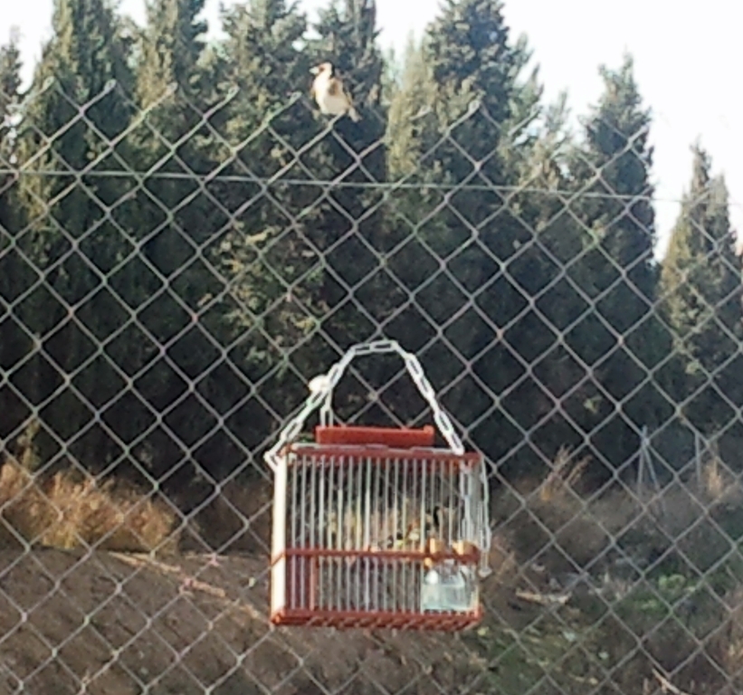 2012-02-26 15.12.44.jpg